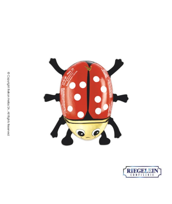 Riegelein Ladybug 50g